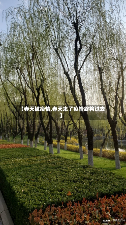 【春天被疫情,春天来了疫情终将过去】-第1张图片