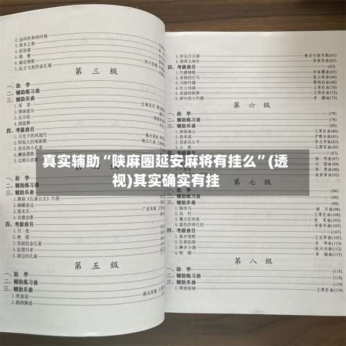 真实辅助“陕麻圈延安麻将有挂么”(透视)其实确实有挂-第1张图片