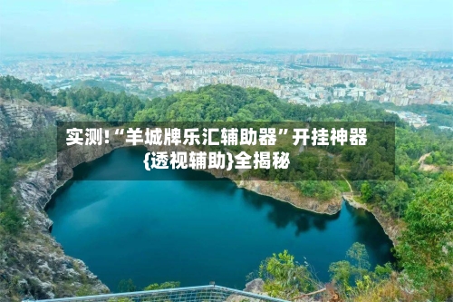 实测!“羊城牌乐汇辅助器”开挂神器{透视辅助}全揭秘-第2张图片