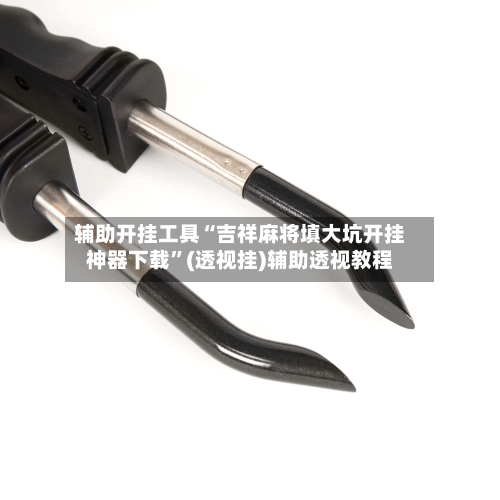 辅助开挂工具“吉祥麻将填大坑开挂神器下载”(透视挂)辅助透视教程-第3张图片