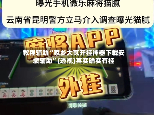 教程辅助“家乡大贰开挂神器下载安装辅助”(透视)其实确实有挂-第1张图片