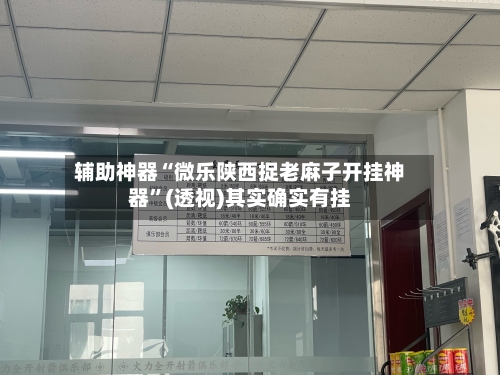 辅助神器“微乐陕西捉老麻子开挂神器”(透视)其实确实有挂-第2张图片