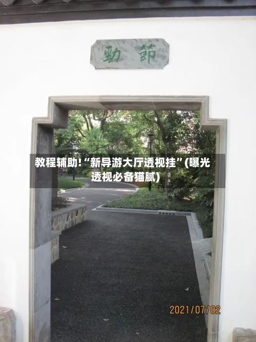 教程辅助!“新导游大厅透视挂”(曝光透视必备猫腻)-第3张图片