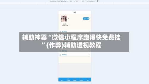 辅助神器“微信小程序跑得快免费挂”(作弊)辅助透视教程-第3张图片