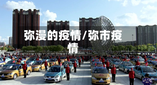 弥漫的疫情/弥市疫情-第3张图片