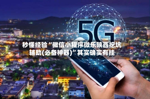 秒懂经验“微信小程序微乐陕西挖坑辅助(必备神器)	”其实确实有挂-第2张图片