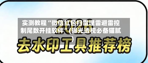 实测教程“微信红包扫雷埋雷避雷控制尾数开挂软件	”(曝光透视必备猫腻)-第1张图片
