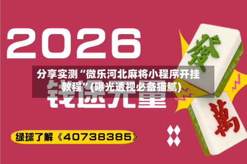 分享实测“微乐河北麻将小程序开挂教程”(曝光透视必备猫腻)-第3张图片