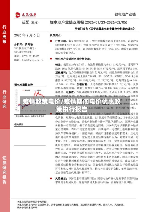 疫情政策电价/疫情期间电价优惠政策执行报告-第3张图片