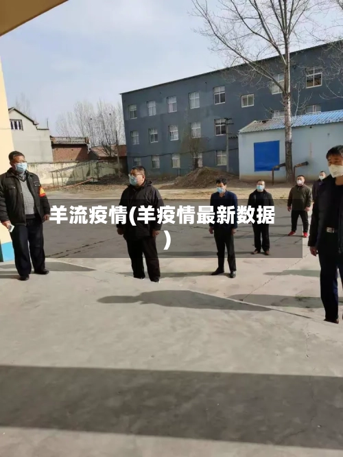 羊流疫情(羊疫情最新数据)-第2张图片