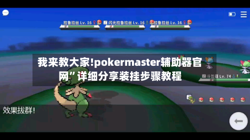 我来教大家!pokermaster辅助器官网”详细分享装挂步骤教程-第1张图片