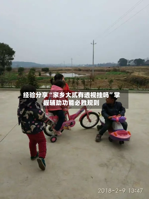 经验分享“家乡大贰有透视挂吗”掌握辅助功能必胜规则-第3张图片