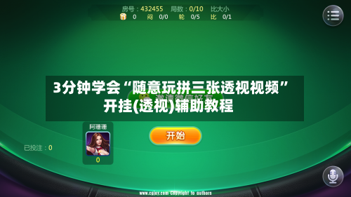 3分钟学会“随意玩拼三张透视视频	”开挂(透视)辅助教程-第3张图片