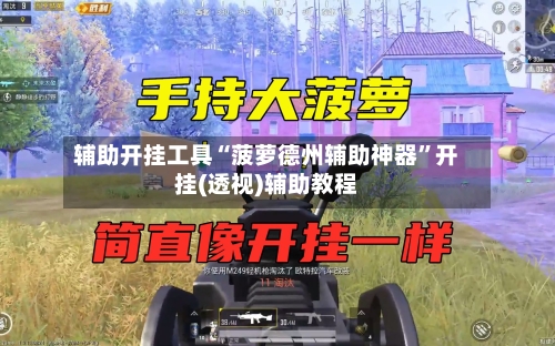 辅助开挂工具“菠萝德州辅助神器”开挂(透视)辅助教程-第3张图片