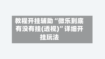教程开挂辅助“微乐到底有没有挂(透视)	”详细开挂玩法-第2张图片