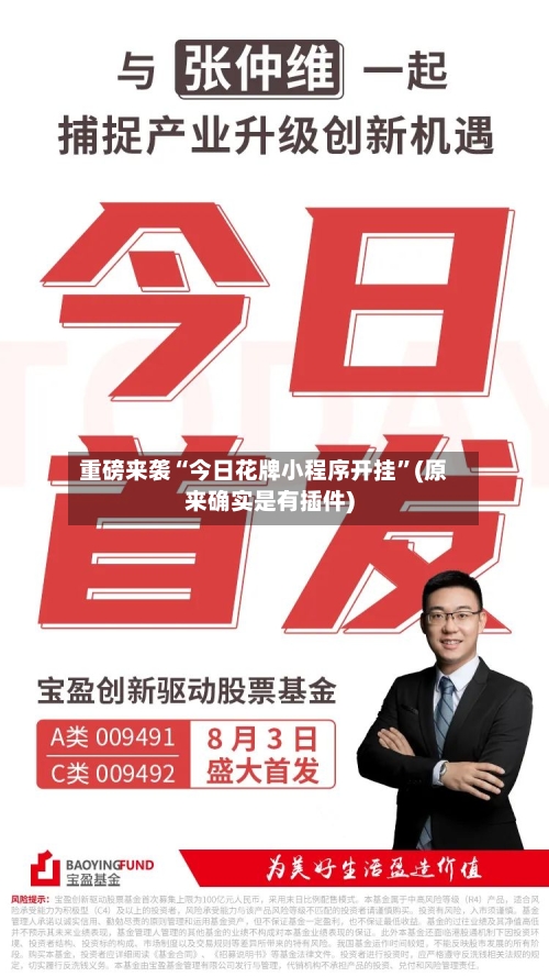 重磅来袭“今日花牌小程序开挂”(原来确实是有插件)-第2张图片