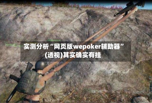 实测分析“网页版wepoker辅助器”(透视)其实确实有挂-第1张图片