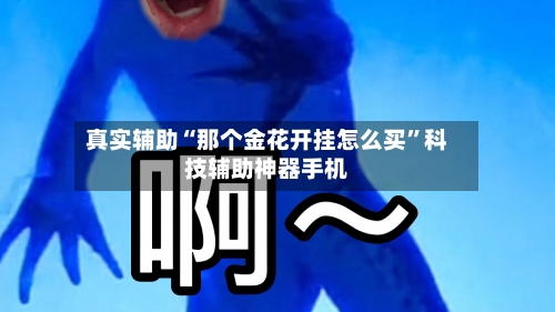 真实辅助“那个金花开挂怎么买”科技辅助神器手机-第1张图片