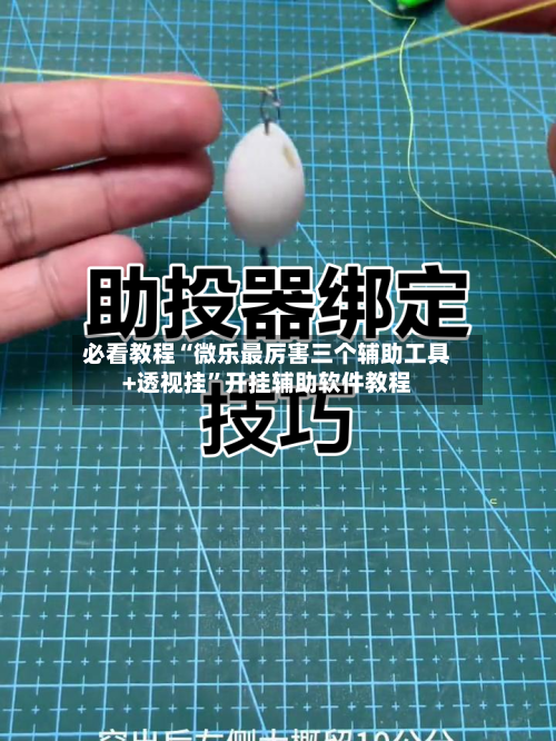 必看教程“微乐最厉害三个辅助工具+透视挂”开挂辅助软件教程-第1张图片