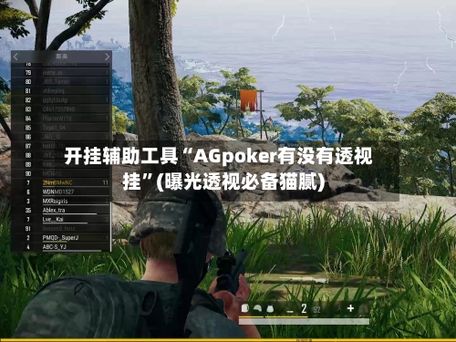 开挂辅助工具“AGpoker有没有透视挂”(曝光透视必备猫腻)-第2张图片