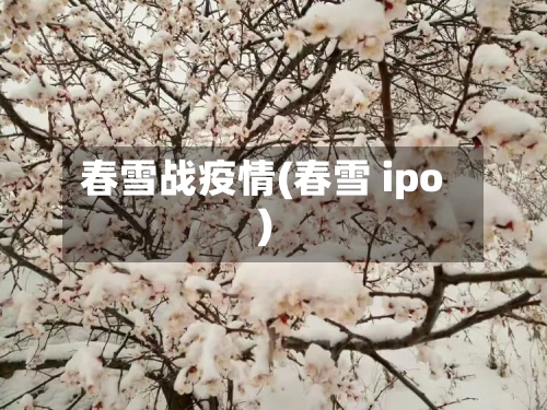 春雪战疫情(春雪 ipo)-第2张图片