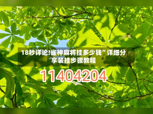 18秒详论!雀神麻将挂多少钱”详细分享装挂步骤教程-第2张图片