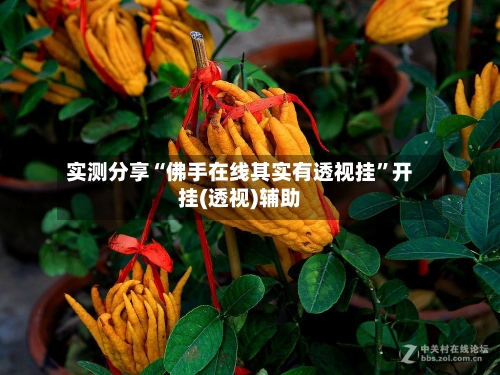 实测分享“佛手在线其实有透视挂”开挂(透视)辅助-第1张图片