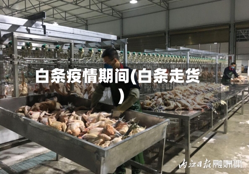 白条疫情期间(白条走货)-第1张图片