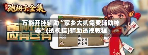 万能开挂辅助“家乡大贰免费辅助神器”(透视挂)辅助透视教程-第1张图片