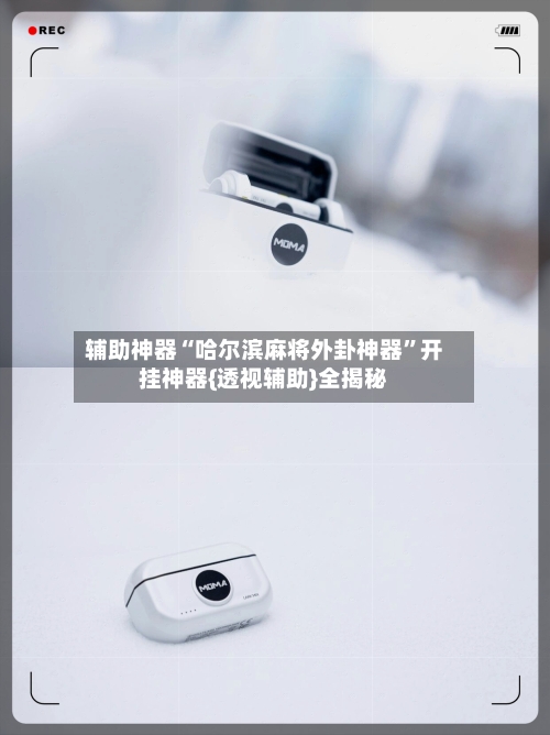 辅助神器“哈尔滨麻将外卦神器”开挂神器{透视辅助}全揭秘-第3张图片