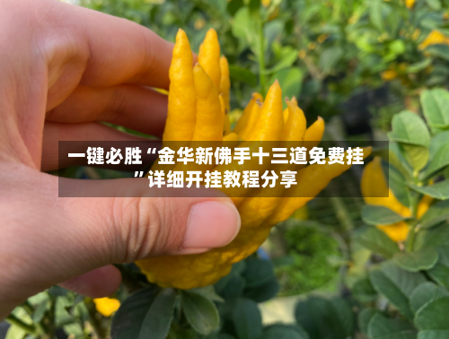一键必胜“金华新佛手十三道免费挂”详细开挂教程分享-第2张图片