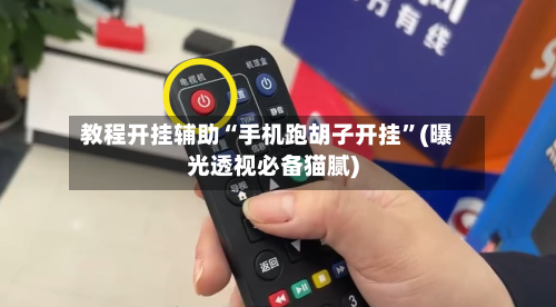 教程开挂辅助“手机跑胡子开挂”(曝光透视必备猫腻)-第1张图片