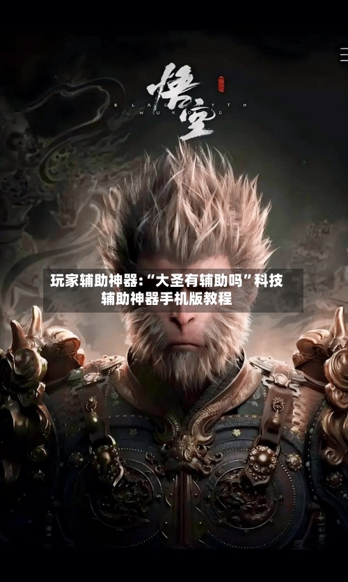玩家辅助神器:“大圣有辅助吗”科技辅助神器手机版教程-第2张图片