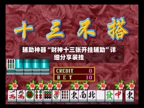 辅助神器“财神十三张开挂辅助”详细分享装挂-第2张图片