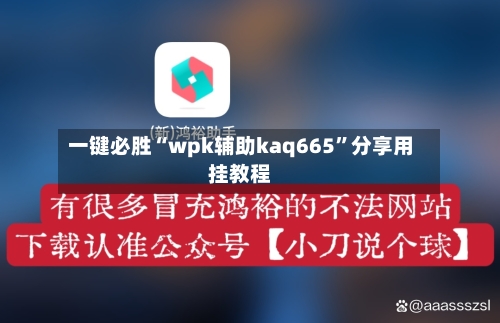 一键必胜“wpk辅助kaq665”分享用挂教程-第2张图片