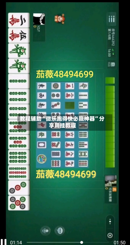 教程辅助“微乐跑得快必赢神器	”分享用挂教程-第2张图片