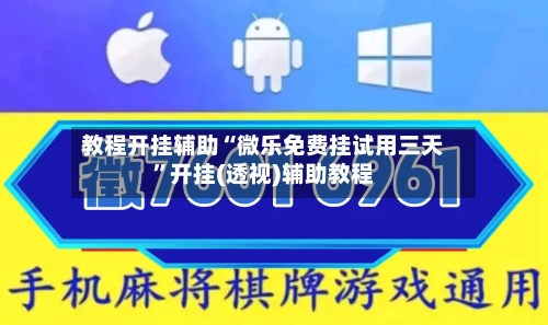 教程开挂辅助“微乐免费挂试用三天”开挂(透视)辅助教程-第3张图片