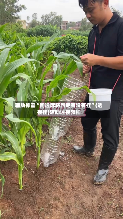 辅助神器“闲逸麻将到底有没有挂”(透视挂)辅助透视教程-第1张图片