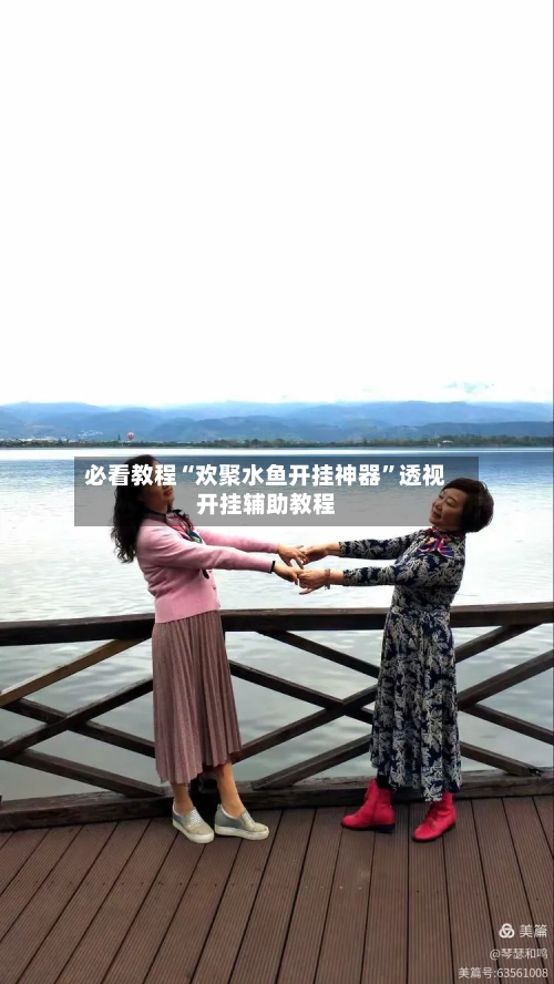 必看教程“欢聚水鱼开挂神器”透视开挂辅助教程-第2张图片