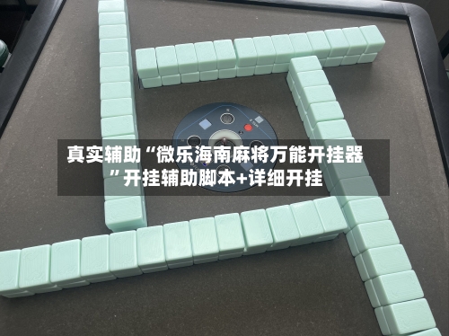真实辅助“微乐海南麻将万能开挂器”开挂辅助脚本+详细开挂-第3张图片