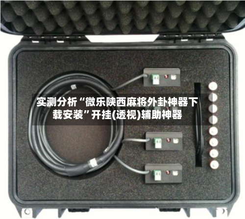 实测分析“微乐陕西麻将外卦神器下载安装	”开挂(透视)辅助神器-第1张图片