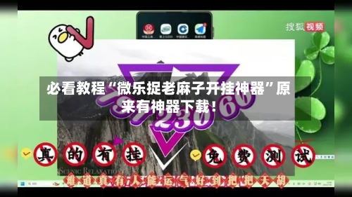 必看教程“微乐捉老麻子开挂神器	”原来有神器下载！-第1张图片