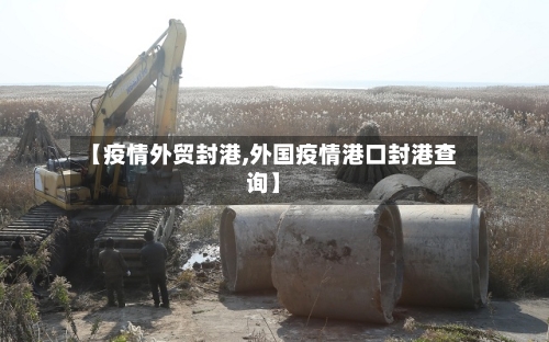 【疫情外贸封港,外国疫情港口封港查询】-第1张图片