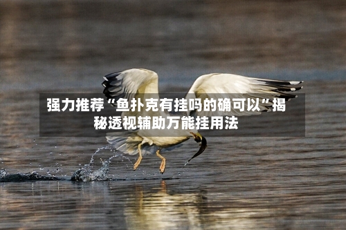 强力推荐“鱼扑克有挂吗的确可以”揭秘透视辅助万能挂用法-第1张图片