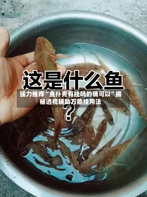 强力推荐“鱼扑克有挂吗的确可以	”揭秘透视辅助万能挂用法-第2张图片