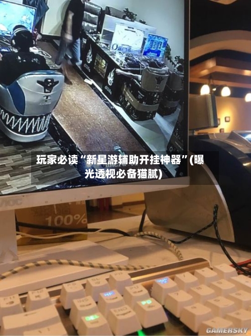 玩家必读“新星游辅助开挂神器	”(曝光透视必备猫腻)-第1张图片