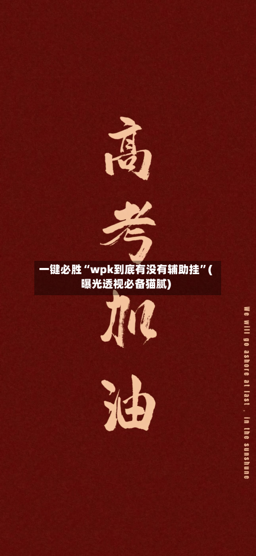 一键必胜“wpk到底有没有辅助挂”(曝光透视必备猫腻)-第1张图片