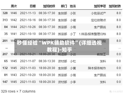 秒懂经验“WPK辅助软件	”(详细透视教程)-知乎-第1张图片