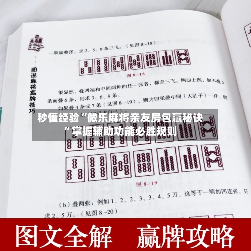 秒懂经验“微乐麻将亲友房包赢秘诀	”掌握辅助功能必胜规则-第1张图片
