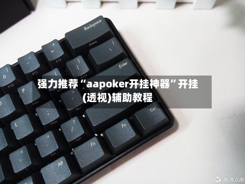 强力推荐“aapoker开挂神器”开挂(透视)辅助教程-第1张图片
